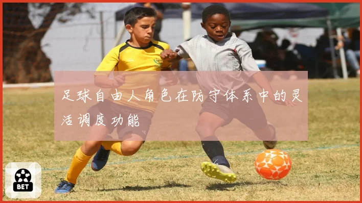 足球自由人角色在防守体系中的灵活调度功能