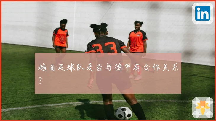 越南足球队是否与德甲有合作关系？